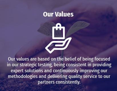 Our Values | RAS Infotech