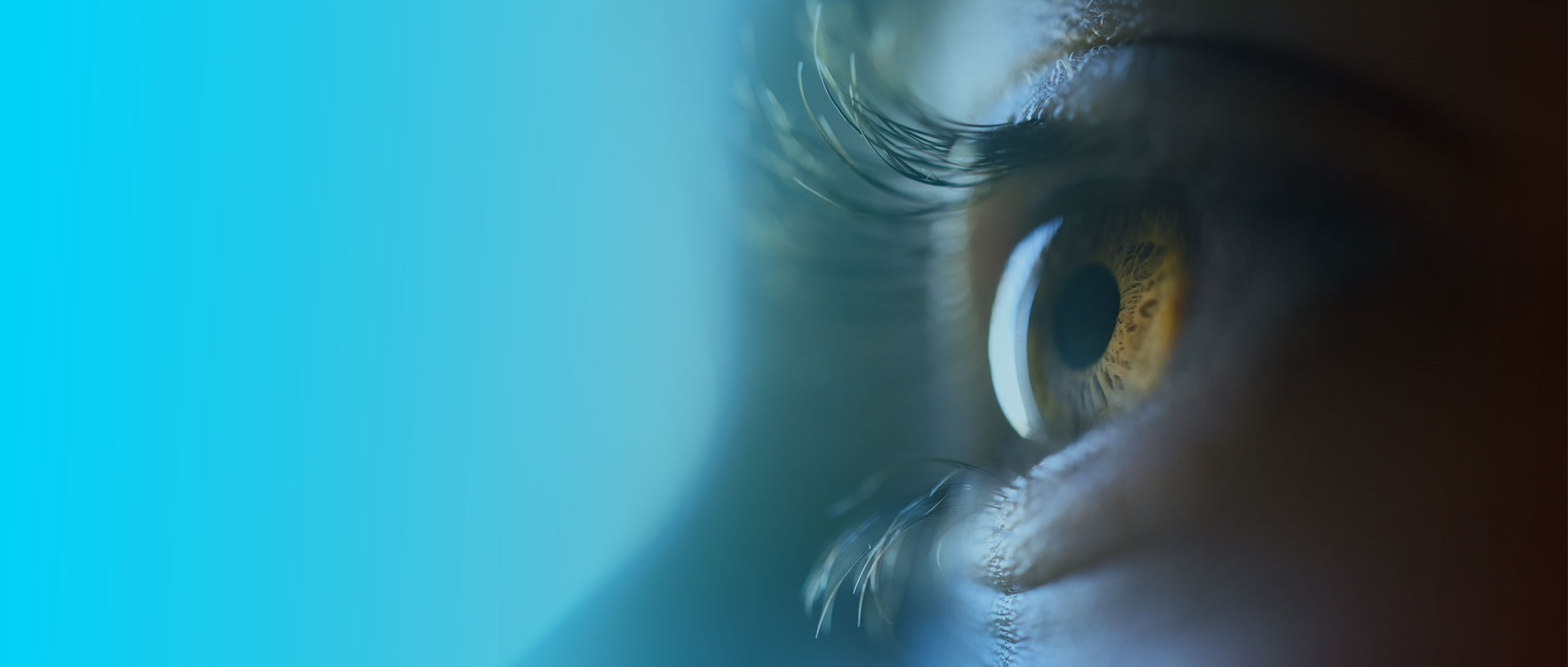 RAS Infotech | Our Vision